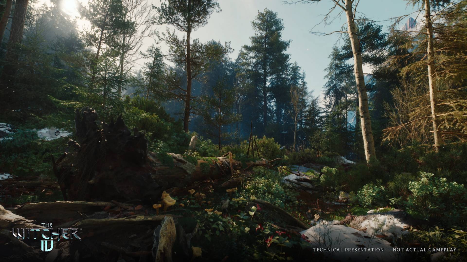 The_Witcher_4_UE5_tech_demo_PS5_Forest_EN_q70_1920x1080.jpeg